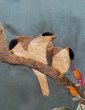 Load image into Gallery viewer, Chinese Embroidered robe