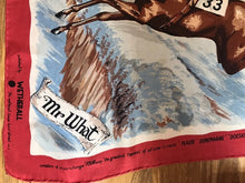 Load image into Gallery viewer, “Mr. What” silk vintage scarf
